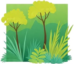 a book cover with a picture of a forest.jpg